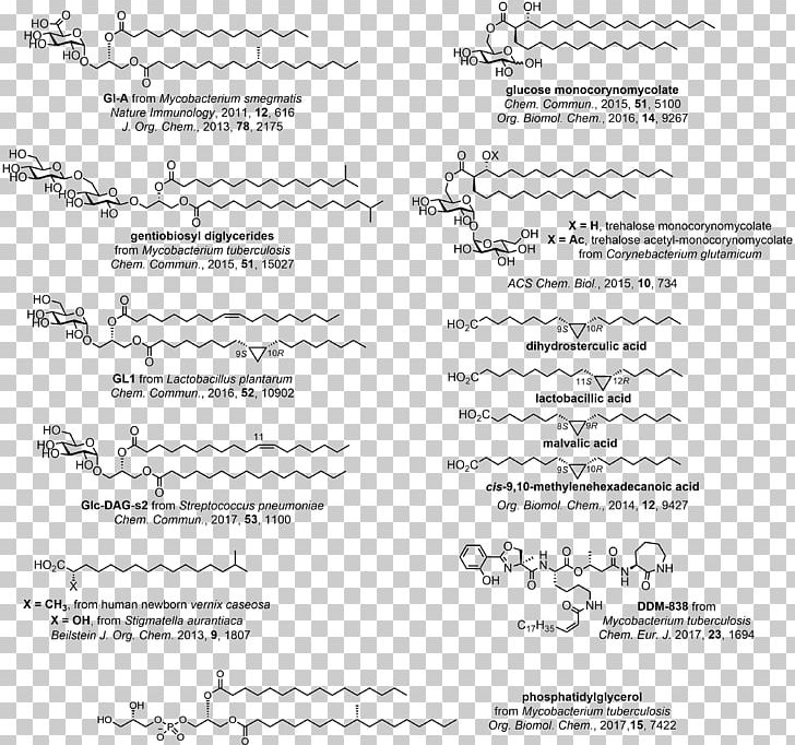 Bioorganic Chemistry Carbohydrate Chemistry PNG, Clipart, Antigen Presentation, Area, Bioorganic Chemistry, Black And White, Carbohydrate Free PNG Download