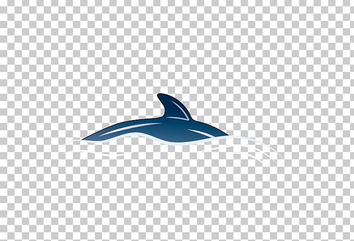 Dolphin Operating System Icon PNG, Clipart, Animals, Baleen Whale, Blue, Cartoon Dolphin, Computer Wallpaper Free PNG Download