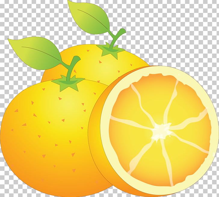 Lemon Mandarin Orange Food Citron Grapefruit PNG, Clipart, Apple, Bitter Orange, Citric Acid, Citron, Citrus Free PNG Download