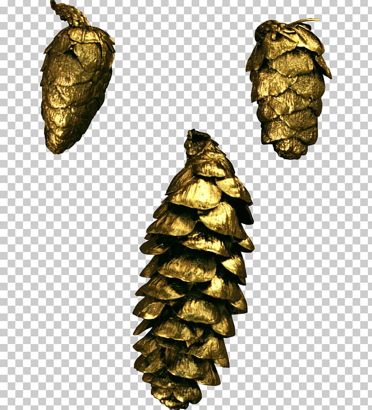 Pine Conifer Cone Material PNG, Clipart, Computer Icons, Cone, Conifer, Element, Image File Formats Free PNG Download