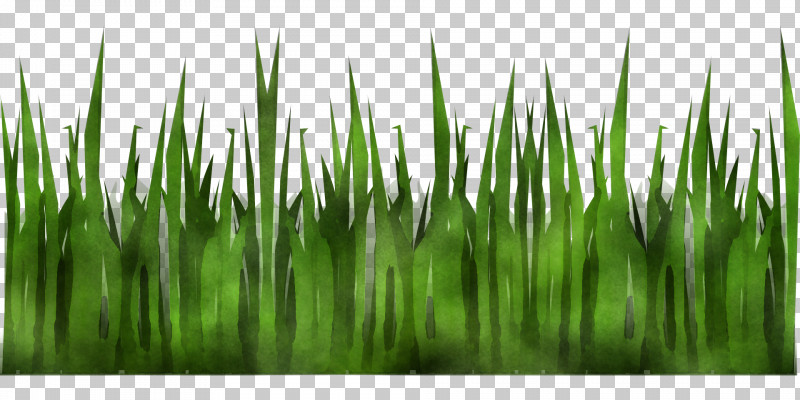 Colorgardenカラーガーデン Close-up March Computer Wheatgrass PNG, Clipart, Calendar, Car Park, Cash Register, Closeup, Commodity Free PNG Download