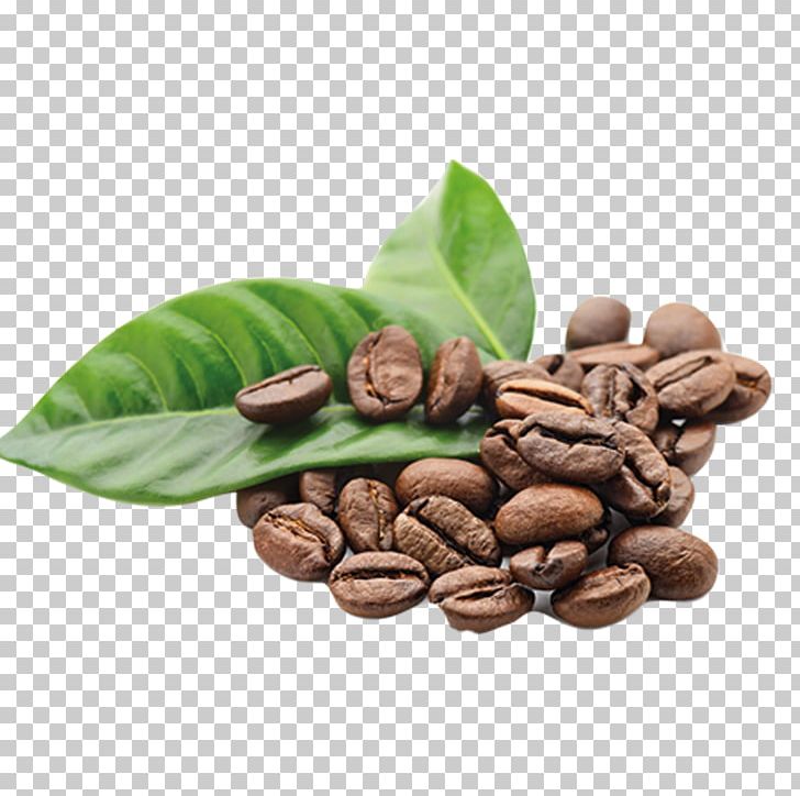 Arabica Coffee The Coffee Bean & Tea Leaf Kona Coffee PNG, Clipart, Arabica Coffee, Bean, Beans, Caffeine, Cocoa Bean Free PNG Download