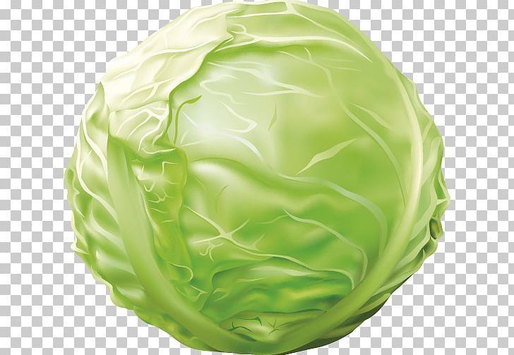 Red Cabbage Vegetable Kale PNG, Clipart, Cabbage, Cabbage Leaves, Cabbage Roses, Cartoon, Cartoon Cabbage Free PNG Download
