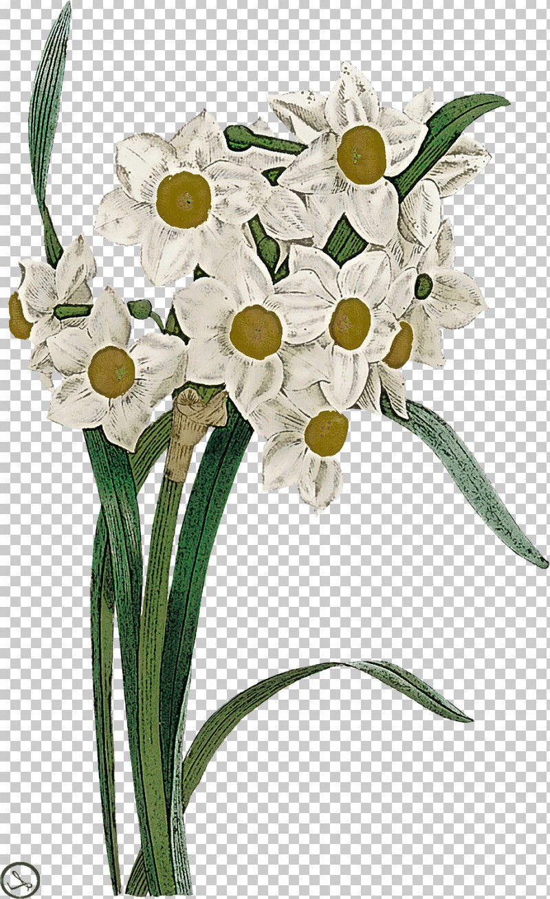 Flower Cut Flowers Plant Bouquet Flowerpot PNG, Clipart, Amaryllis Family, Bouquet, Cut Flowers, Floristry, Flower Free PNG Download