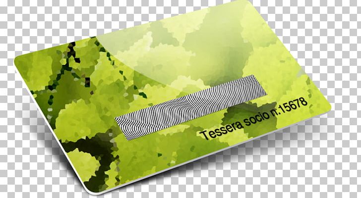 Brand Rectangle PNG, Clipart, Brand, Grass, Green, Rectangle, Scratch Card Free PNG Download