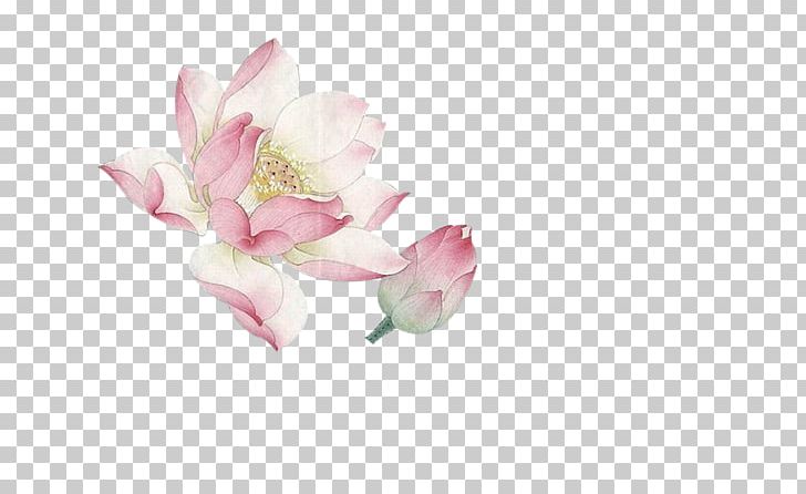 Flower Nelumbo Nucifera PNG, Clipart, Adobe Illustrator, Antique, Antique Background, Antique Frame, Antique Pattern Free PNG Download