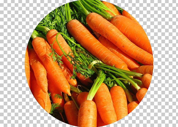 Food Carrot Juice Seed Turkey PNG, Clipart, Baby Carrot, Capsicum, Carrot, Carrot Juice, Daucus Free PNG Download