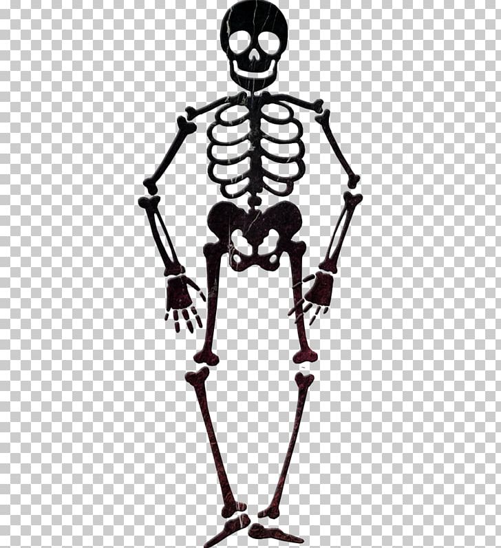 Skeleton PNG, Clipart, Adobe Illustrator, Art, Black And White, Bone, Cartoon Skeleton Free PNG Download