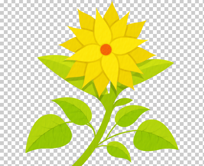 Floral Design PNG, Clipart, Common Daisy, Daisy Family, Family, Flora, Floral Design Free PNG Download