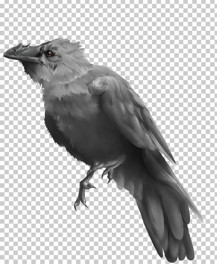 American Crow Painting Common Raven Finches Art PNG, Clipart, American Crow, Art, Artist, Beak, Biomechanics Free PNG Download