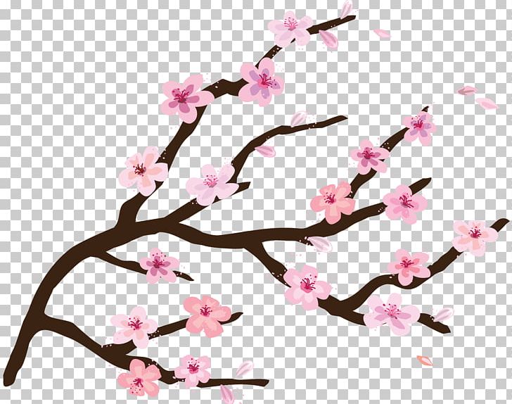 Camden National Cherry Blossom Festival PNG, Clipart, Blossom, Branch, Camden, Cherry, Cherry Blossom Free PNG Download