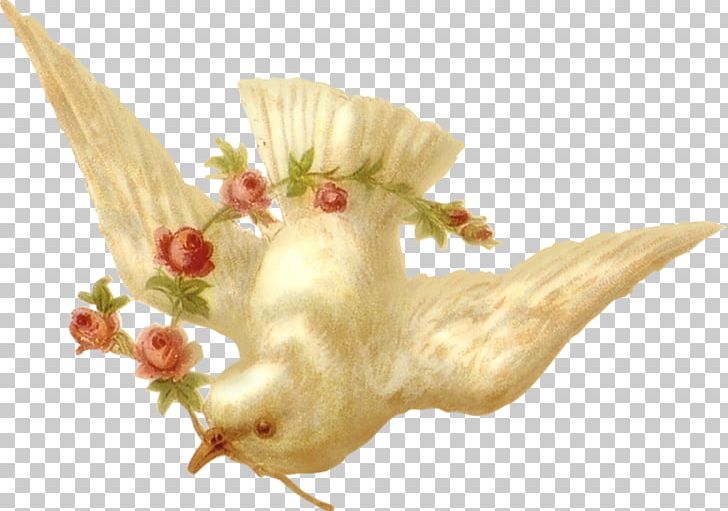 Columbidae Doves As Symbols Peace Bird PNG, Clipart, Angel, Animaatio, Animals, Animated Film, Beak Free PNG Download