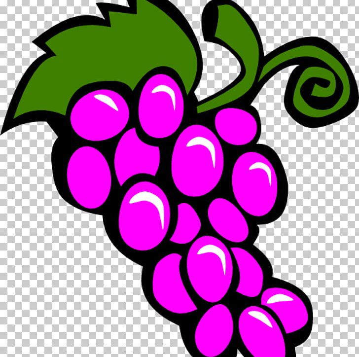 Common Grape Vine Wine Graphics PNG, Clipart, Artwork, Cartoon, Circle, Common Grape Vine, Drawing Free PNG Download