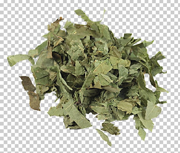 Leaf Vegetable Collard Greens Spring Greens Bancha Rapini PNG, Clipart, Artichoke, Bancha, Collard Greens, Flavor, Herb Free PNG Download