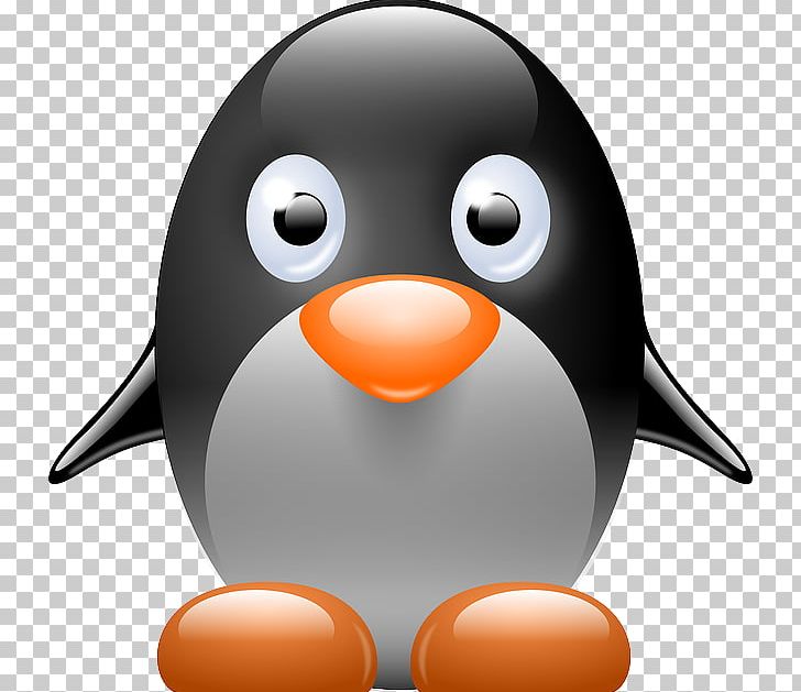 Little Penguin Cartoon PNG, Clipart, Beak, Bird, Cartoon, Flightless Bird,  Free Penguin Clipart Free PNG Download