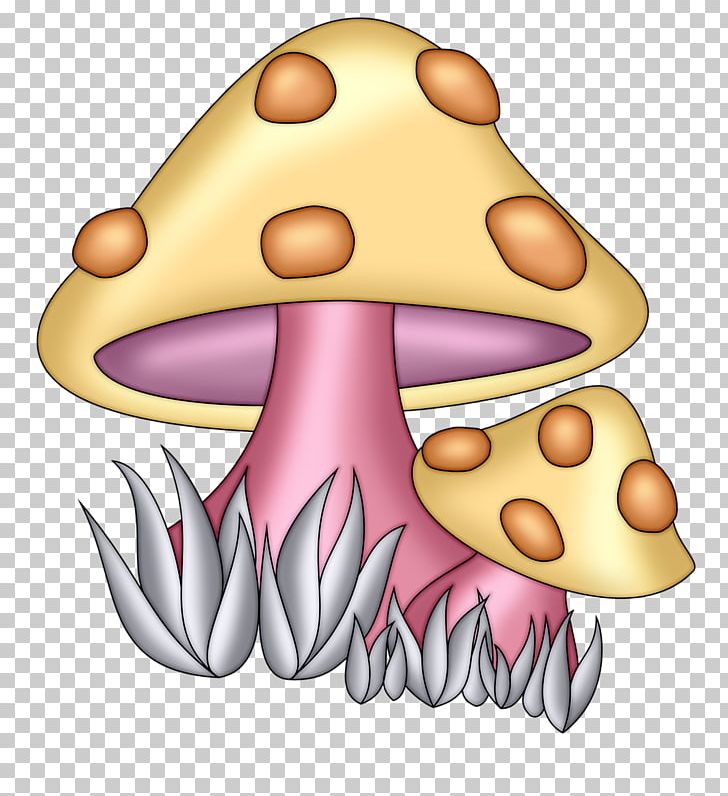 Mushroom Fungus PNG, Clipart, Balloon Cartoon, Boy, Cartoon, Cartoon Character, Cartoon Couple Free PNG Download