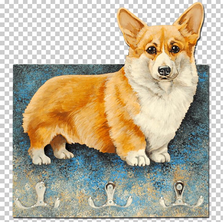 Pembroke Welsh Corgi Cardigan Welsh Corgi Icelandic Sheepdog Dorgi Dog Breed PNG, Clipart, Breed, Cardigan, Cardigan Welsh Corgi, Carnivoran, Companion Dog Free PNG Download