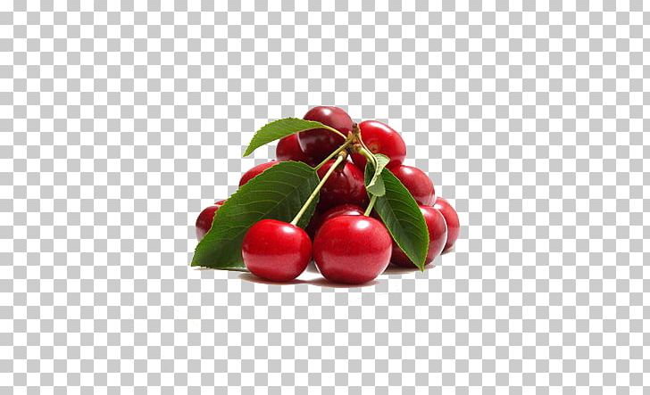 Sour Cherry Juice Sharbat Food PNG, Clipart, Acerola Family, Auglis, Berry, Black Cherry, Cherry Free PNG Download