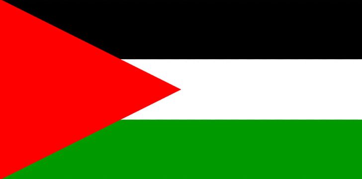 State Of Palestine Flag Of Palestine Flag Of The United States PNG, Clipart, American Flag Clip, Angle, Brand, Computer Wallpaper, Desktop Wallpaper Free PNG Download