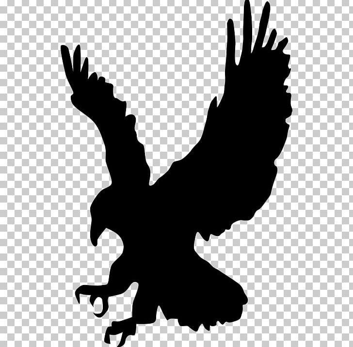 Bird Eagle Silhouette PNG, Clipart, Animals, Artwork, Beak, Bird, Black And White Free PNG Download
