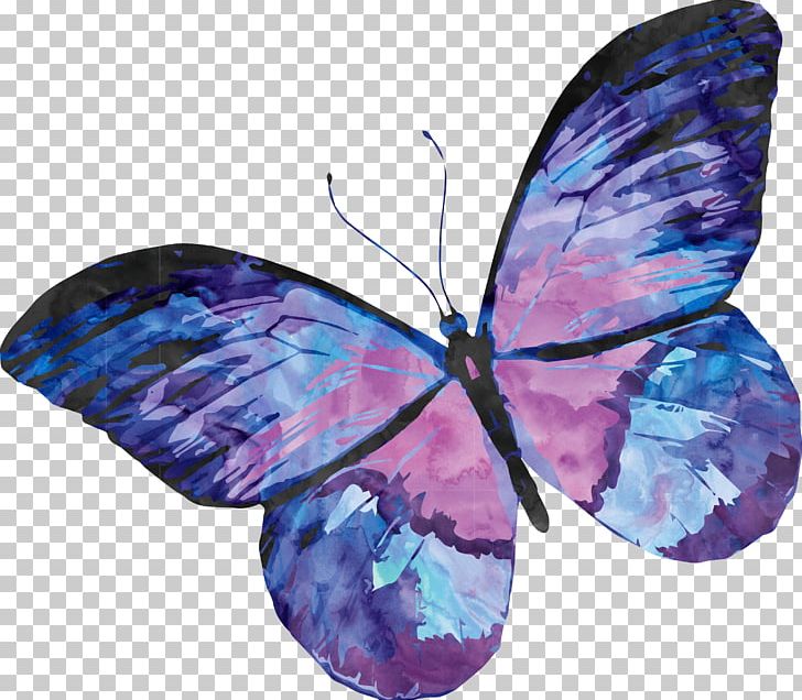 Papillon Dog Butterfly Watercolor Painting PNG, Clipart, Art, Blue, Blue Butterfly, Brush Footed Butterfly, Butter Free PNG Download