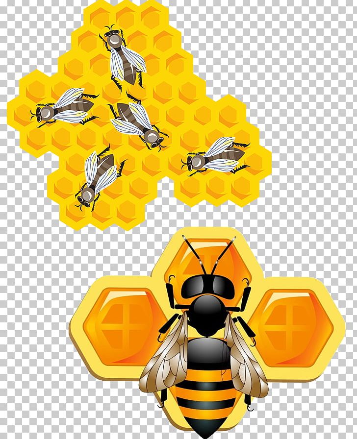 Bee Insect Honeycomb PNG, Clipart, 3d Animation, 3d Arrows, 3d Background, 3d Computer Graphics, 3d Numbers Free PNG Download