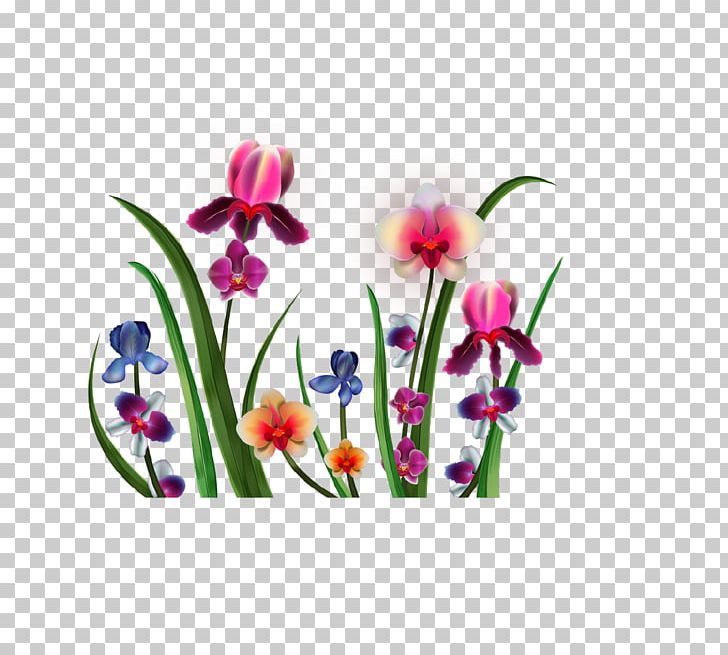 Cattleya Orchids PNG, Clipart, Cattle, Cut Flowers, Drawing, Flora, Floral Design Free PNG Download