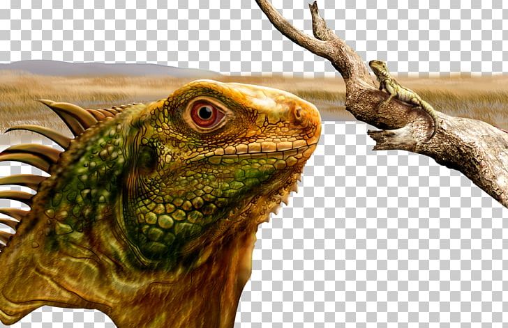 Common Iguanas Lizard Reptile PNG, Clipart, Adobe Illustrator, Animals, Artificial Grass, Branches, Cartoon Free PNG Download