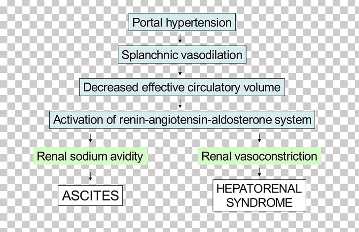 Document Green Line Angle Pathophysiology PNG, Clipart, Angiotensin I, Angle, Area, Art, Brand Free PNG Download