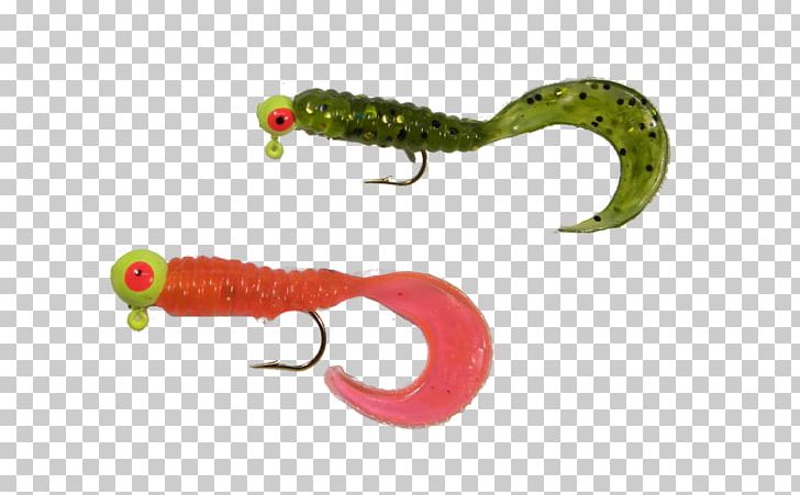 Maumee River Worm Walleye Fishing Fishing Bait PNG, Clipart, Bait, Experience, Fish, Fishing, Fishing Bait Free PNG Download