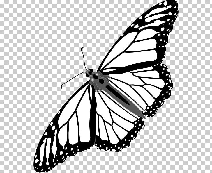 Monarch Butterfly PNG, Clipart, Arthropod, Black And White, Brush Footed Butterfly, Butterfly, Butterfly Net Free PNG Download