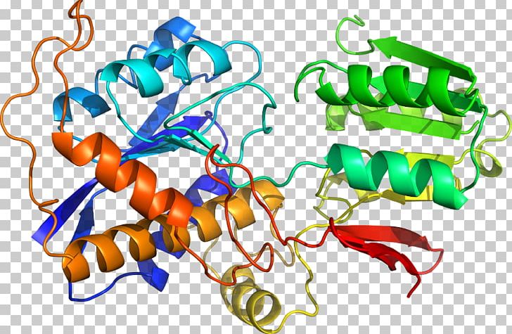 TASP1 Gene Endopeptidase Enzyme Protease PNG, Clipart, Amino, Artwork, Atd, Body Jewelry, C 93 Free PNG Download