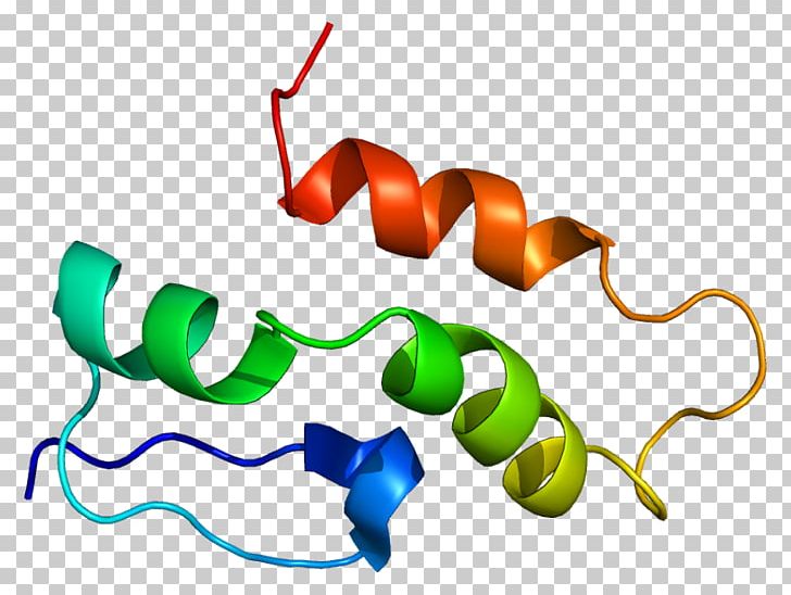 Transport Protein SnRNP Polipeptide PNG, Clipart, Artwork, Gene, Language, Line, Membrane Transport Protein Free PNG Download
