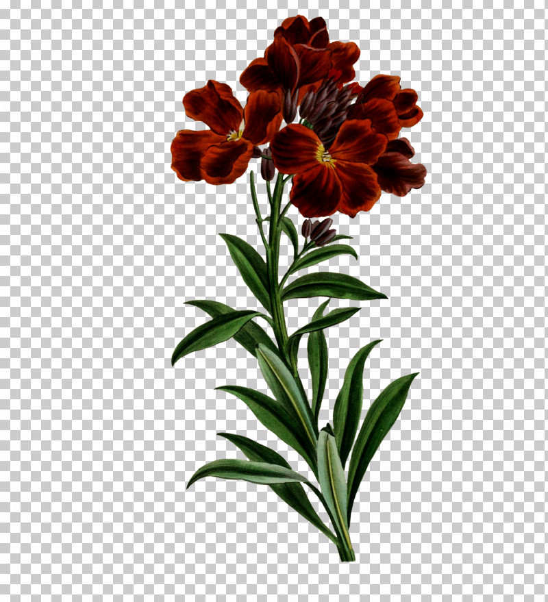 Floral Design PNG, Clipart, Cut Flowers, Floral Design, Flower, Gratis, Petal Free PNG Download