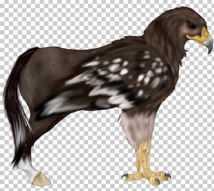 Eagle Hippogriff Horse Legendary Creature Griffin PNG, Clipart, Accipitriformes, Animals, Art, Artist, Beak Free PNG Download