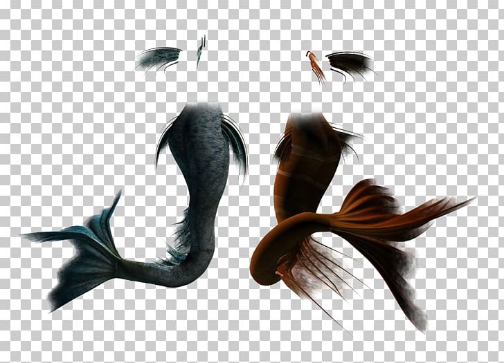 Rusalka Tail Mermaid PNG, Clipart, Adobe Flash Player, Clip Art, Clothing, Computer Software, Deng Chao Free PNG Download