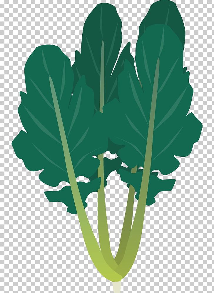 Daikon Leaf Vegetable Carrot PNG, Clipart, Brassica Juncea, Carrot, Daikon, Food Drinks, Graphic Design Free PNG Download