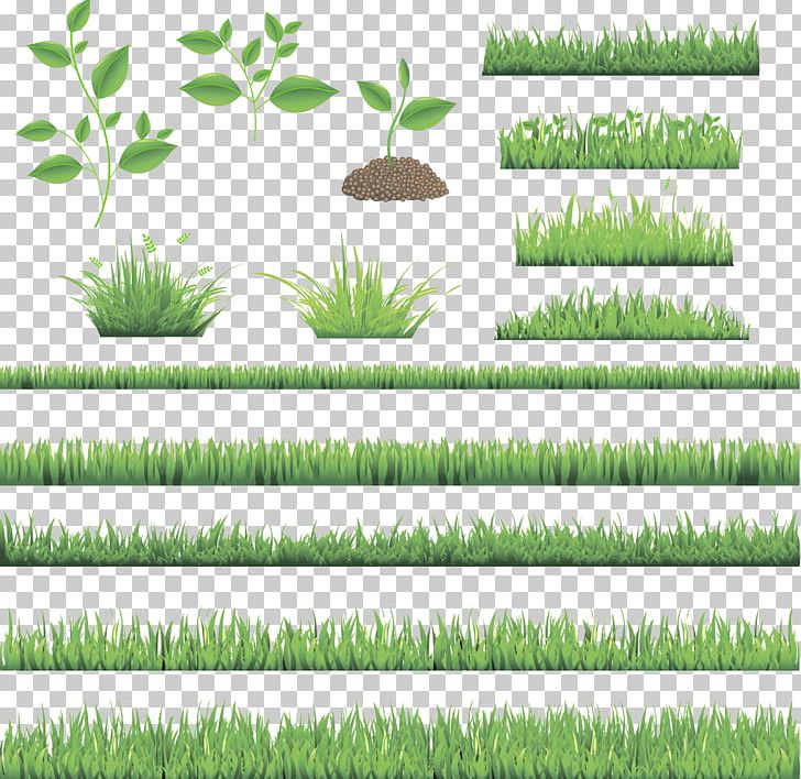 Fresh Green Lawn PNG, Clipart, Art, Decorative Patterns, Decorative Pictures, Drawing, Encapsulated Postscript Free PNG Download