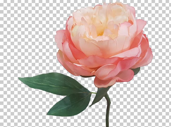 Garden Roses Peony Artificial Flower Cut Flowers PNG, Clipart, Artificial Flower, Cut Flowers, Floribunda, Flower, Flower Bouquet Free PNG Download