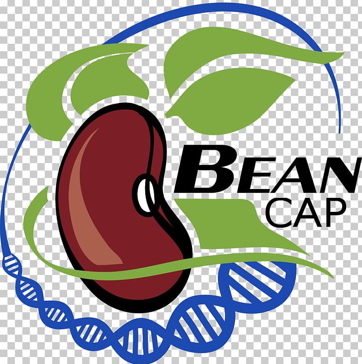 Graphic Design Brand Logo Fruit PNG, Clipart, Area, Art, Artwork, Bean, Brand Free PNG Download