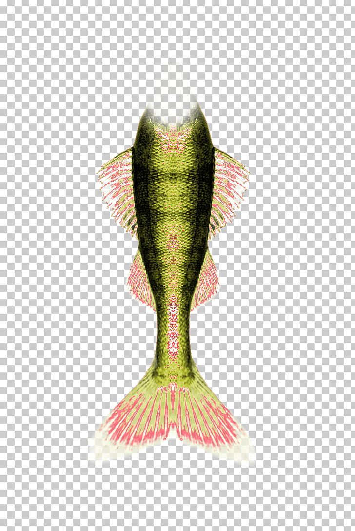 Mermaid Tail Yandex Search PNG, Clipart, Beautiful, Beautiful Mermaid Tail, Color, Colorful Background, Coloring Free PNG Download