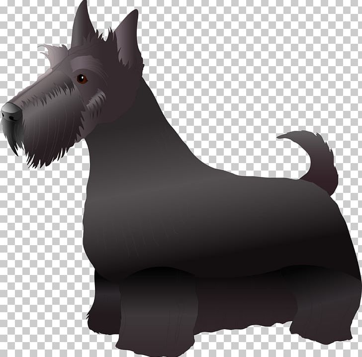 Scottish Terrier Miniature Schnauzer West Highland White Terrier Car PNG, Clipart, Animals, Breed, Bumper Sticker, Canidae, Car Free PNG Download