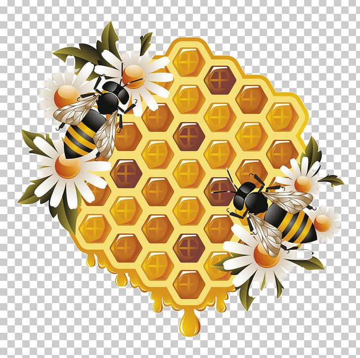 Western Honey Bee Beehive Bumblebee PNG, Clipart, Bee, Bees Honey, Floral Design, Flower, Food Free PNG Download