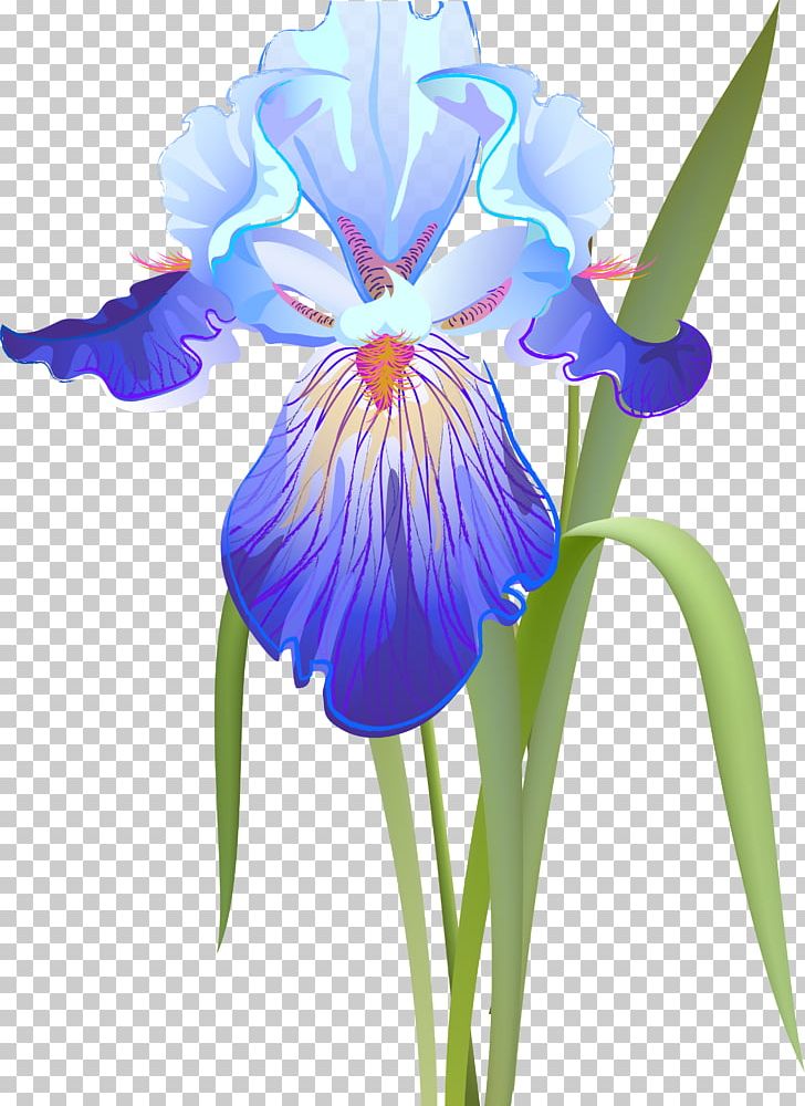 Orris Root Iris Versicolor Iris Flower Data Set PNG, Clipart, Clip Art, Collection, Cut Flowers, Flower, Flowering Plant Free PNG Download