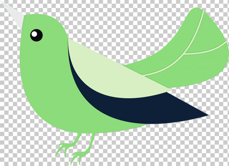 Feather PNG, Clipart, Beak, Biology, Birds, Feather, Green Free PNG Download