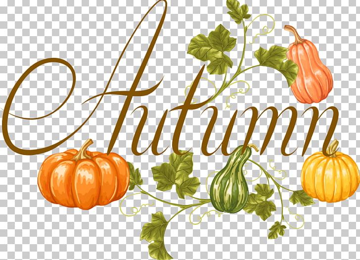 Calabaza Vegetable Pumpkin Autumn PNG, Clipart, Autumn Background, Autumn Leaf, Creative Market, Diet Food, Food Free PNG Download