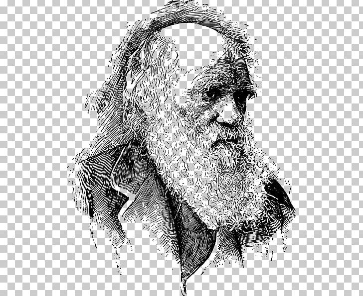 On The Origin Of Species Evolutionary Medicine Evolutionary Psychology Biology PNG, Clipart, Abiogenesis, Adaptation, Art, Artwork, Beard Free PNG Download