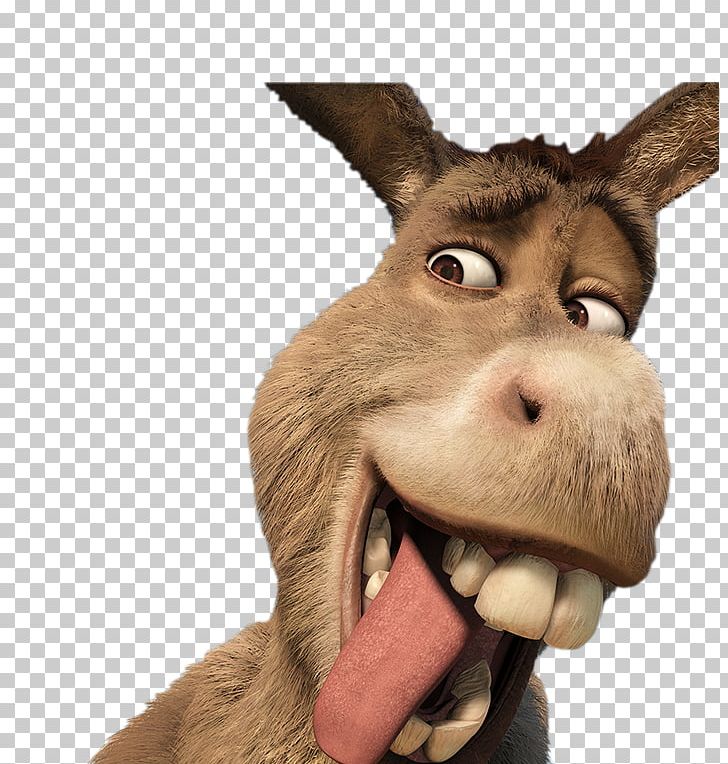 Donkey Shrek Film Series YouTube PNG, Clipart, Animals, Antonio Banderas, Cameron Diaz, Donkey, Eddie Murphy Free PNG Download