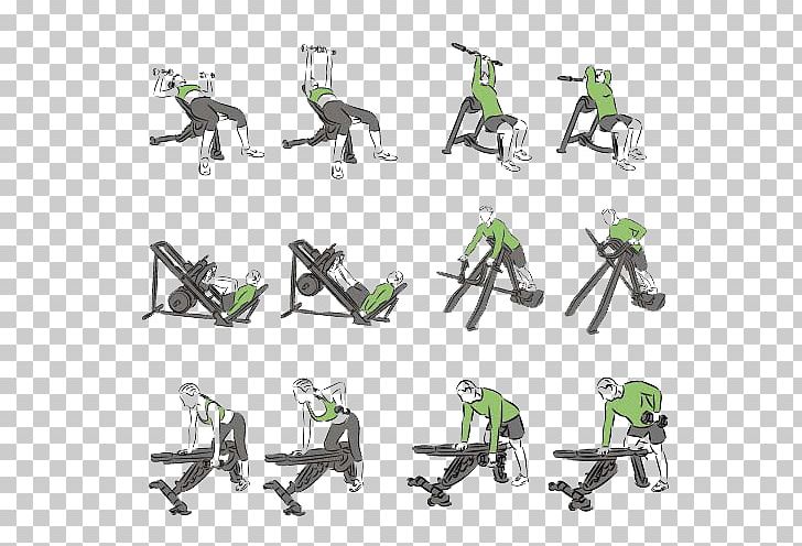 Physical Exercise Bodybuilding Weight Training Illustration PNG, Clipart, Barbell, Bench, Bench Press, Dumbbel, Fit Free PNG Download