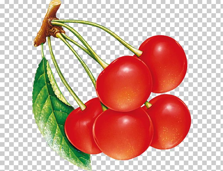 Plum Tomato Cherry Fruit PNG, Clipart, Australian Desert Raisin, Blossoms Cherry, Bush Tomato, Cherries, Cherry Blossom Free PNG Download